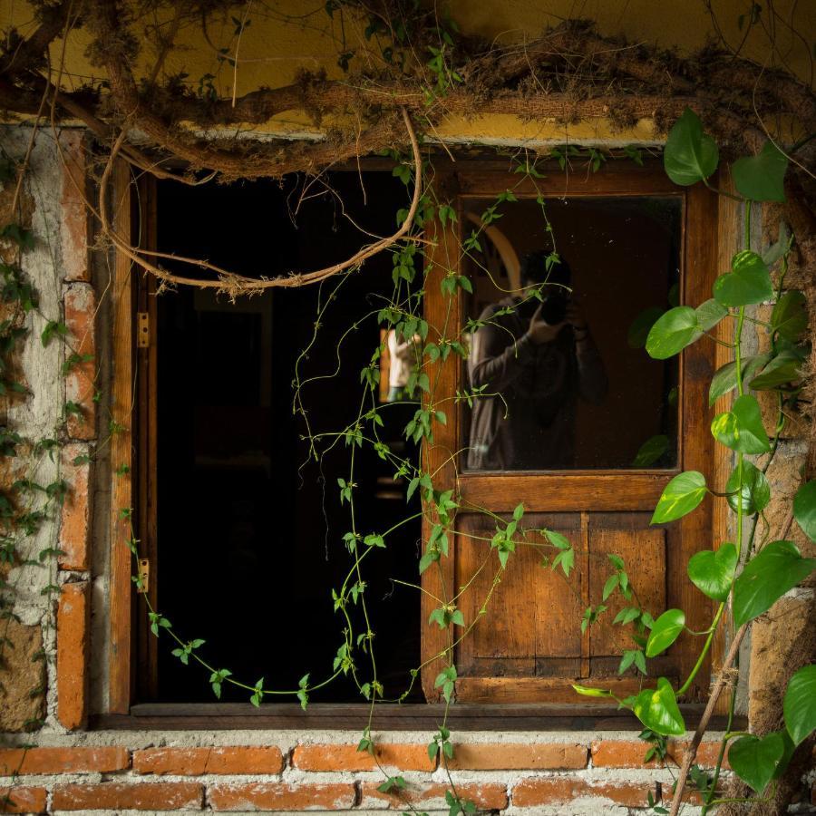 Hotel Casamia Dolores Hidalgo Εξωτερικό φωτογραφία