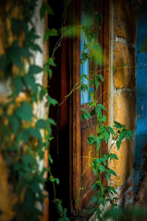 Hotel Casamia Dolores Hidalgo Εξωτερικό φωτογραφία